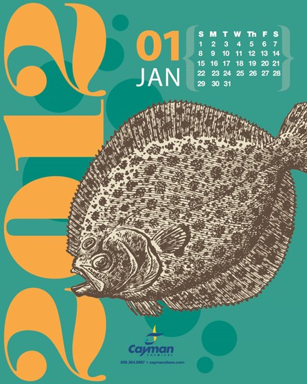 Print Design: 2012 Calendar 